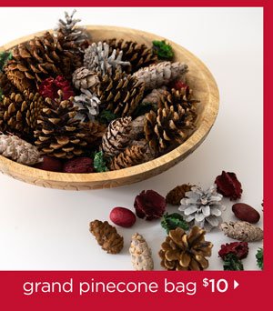 Grand Pinecone Bag