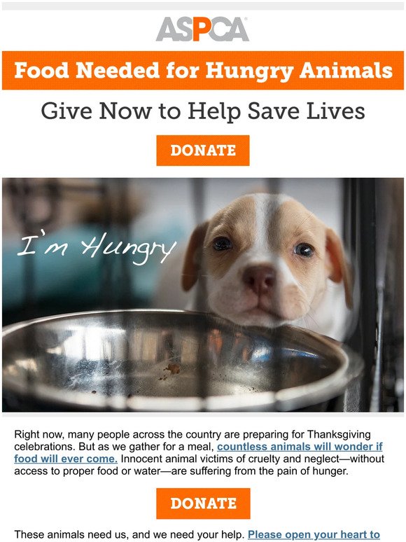 TODAY, Give Hungry Animals Relief