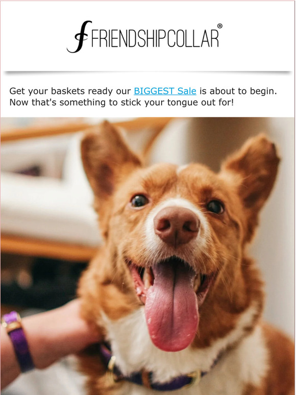THE sale you have been waiting for...