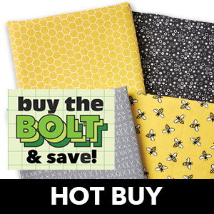 HOT BUY buy the BOLT & save Quilter's Showcase