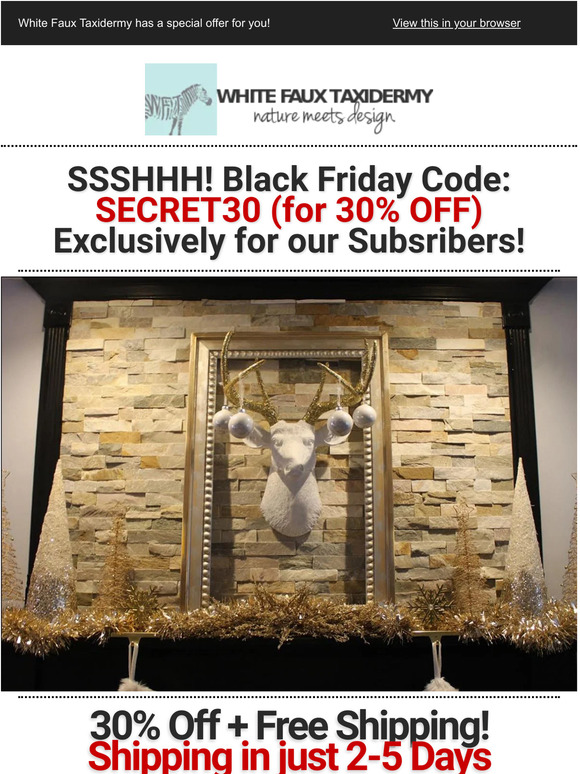 ❄ SECRET BLACK FRIDAY SALE: 30% Off + Free Shipping!