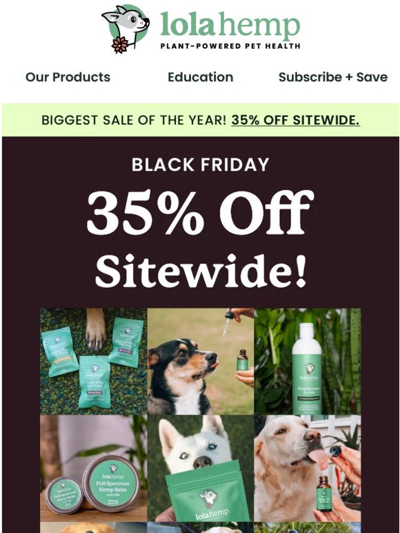 ⚡️ Black Friday Sale - 35% OFF!