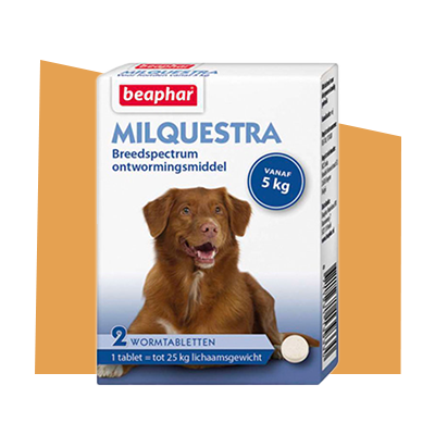 Milquestra