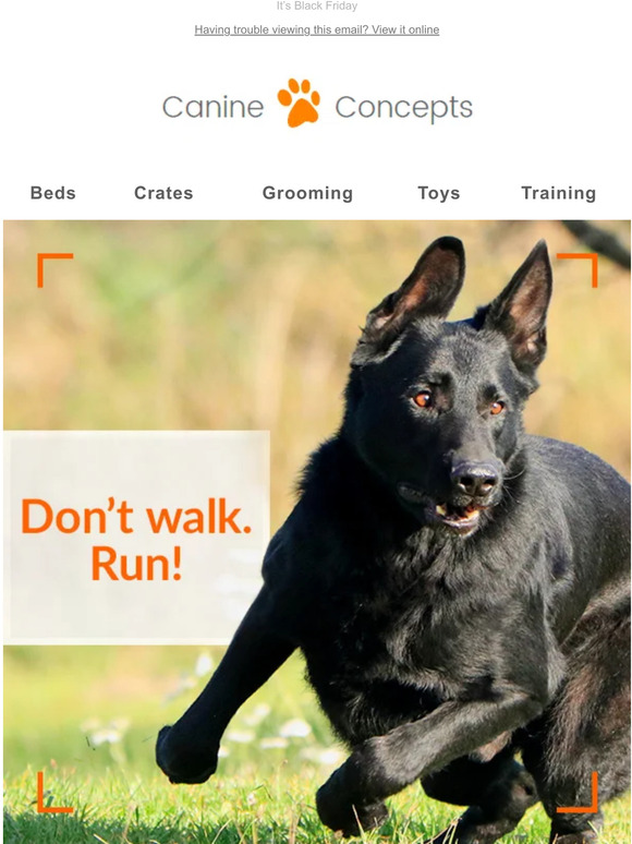 Run to our Black Friday Sale