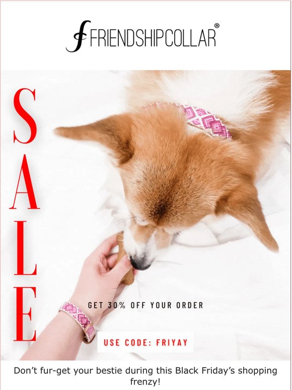 🐾 OUR SALE IS NOW ON! 🐾