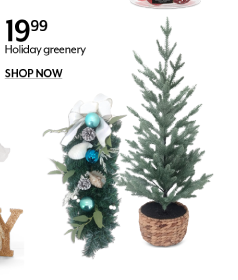 19.99 Holiday greenery   