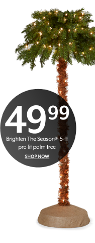 49.99 Brighten The Season(r) 5-ft pre-lit palm tree