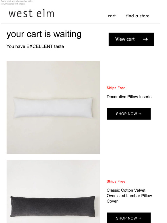 Pottery Barn Our Decorative Pillow Inserts comes highly