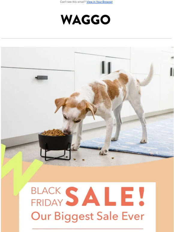 Black Friday IS ON! 35% off Everything!