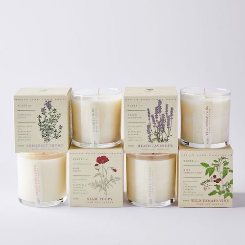 Plant The Box Scented Candles