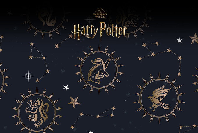 The Harry Potter Shop