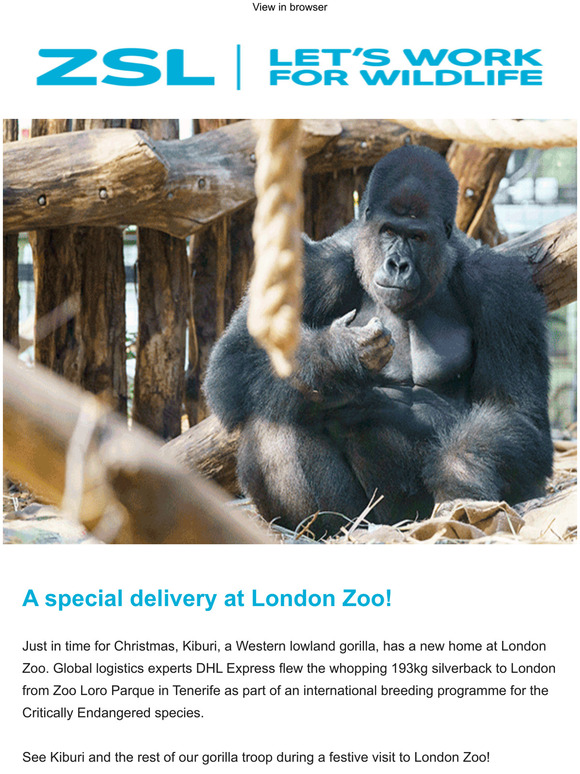 Meet two new arrivals at our Zoos!