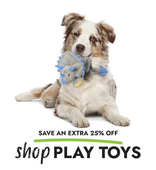 SHOP PLAY TOYS