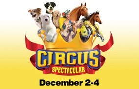Carden Circus Spectacular – Up to 59% Off