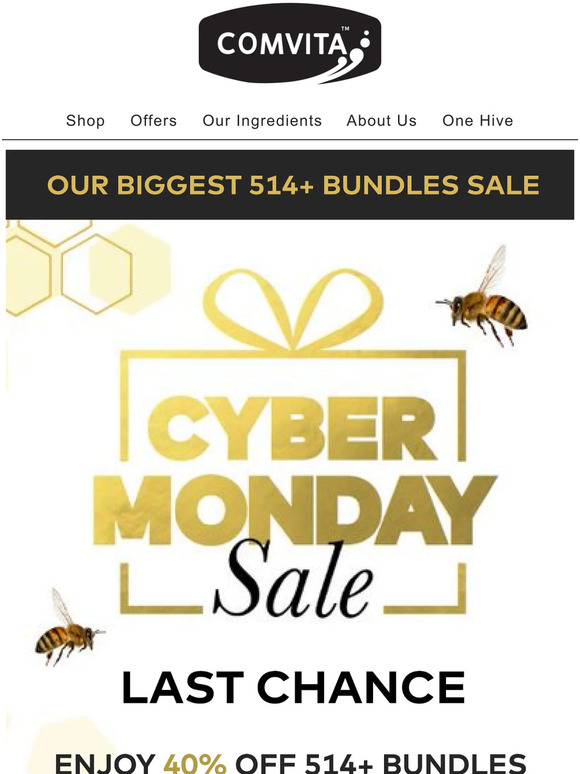 BEE QUICK! Biggest Sale Yet  🐝