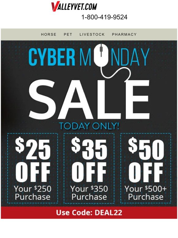 Cyber Monday Sale - Today Only!