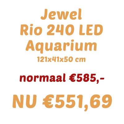 Jewel