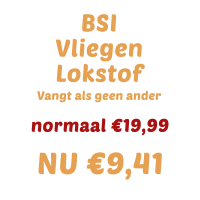 BSI Vlieg