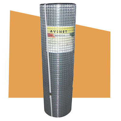 Avinet