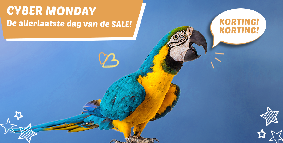 Cyber Monday