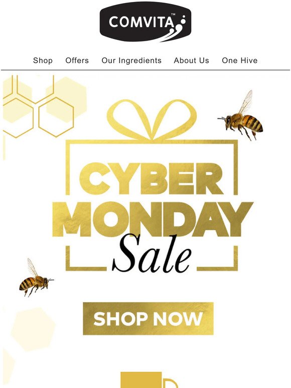 Cyber Monday Exclusive Sale!