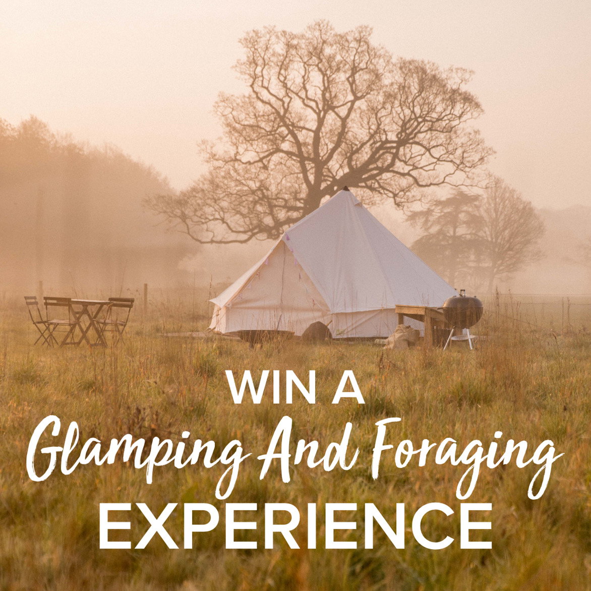 Win a Glamping and Foraging Experience 