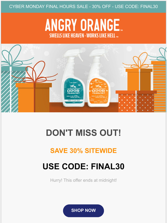 ⏰ LAST CHANCE - 30% OFF SITEWIDE!
