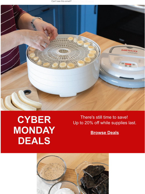 Cyber Monday Is On 💥