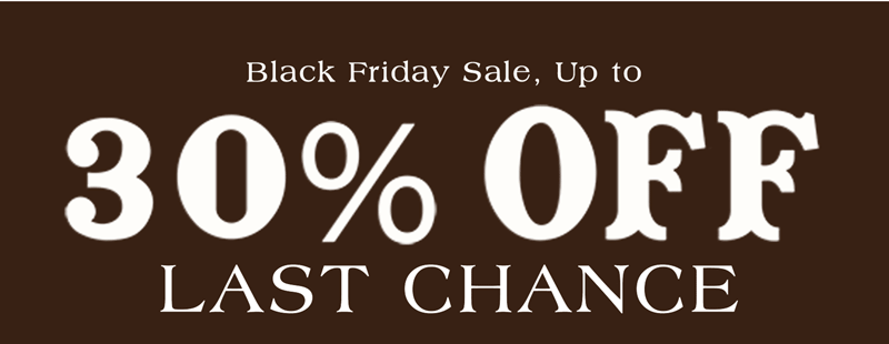 Black Friday sale is almost over! Up to 30% off sitewide