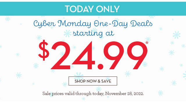 TODAY ONLY - Cyber Monday One-Day Deals - starting at $24.99*
