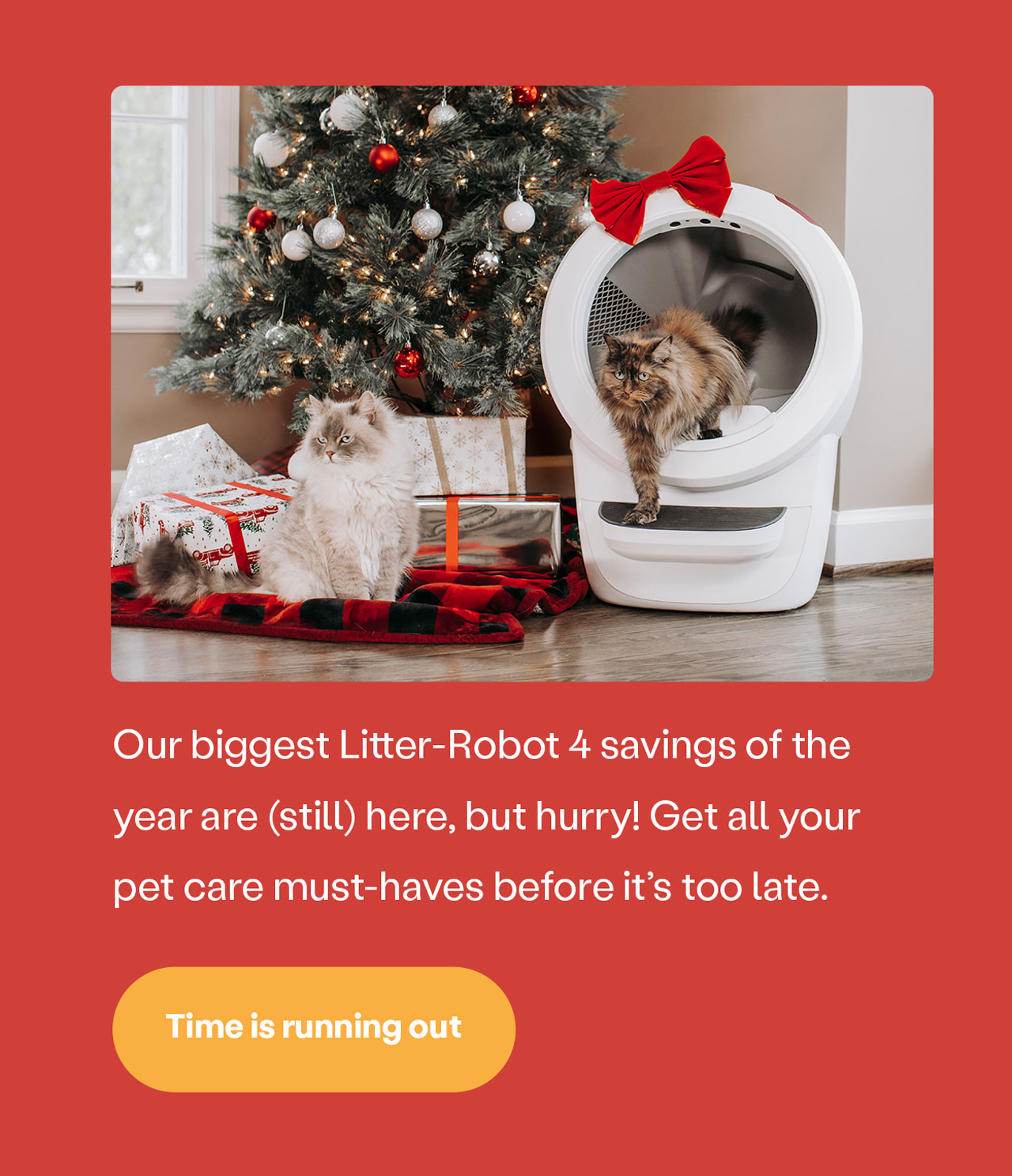 litter.robot Order today to receive your LitterRobot by Christmas! 🎁😺