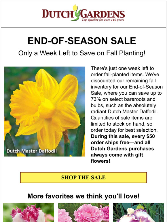 👉 Final week! Remaining fall items priced to move