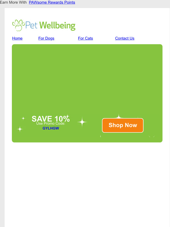 Pet Wellbeing 7 Medicinal Mushrooms & Their Incredible Benefits for