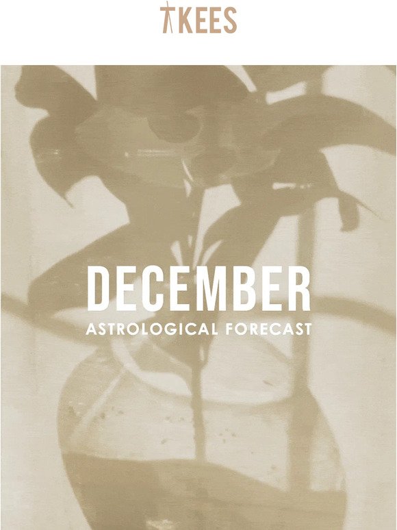 December Astrological Forecast