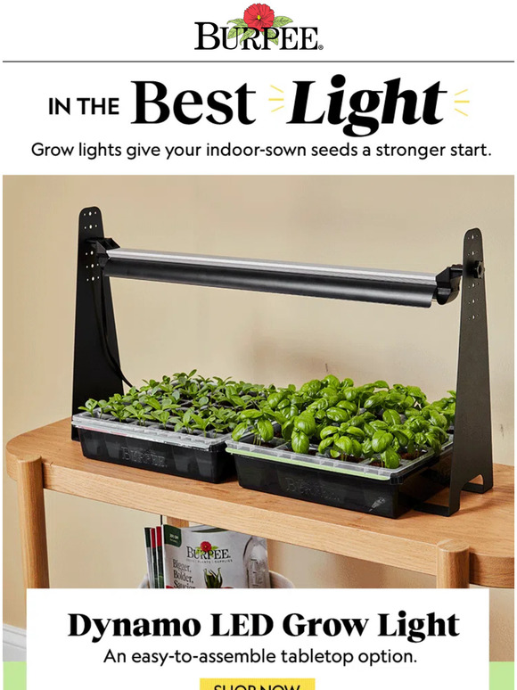 Burpee Gardening The Secret To Indoor Seed Starting Milled