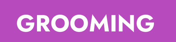 SHOP GROOMING