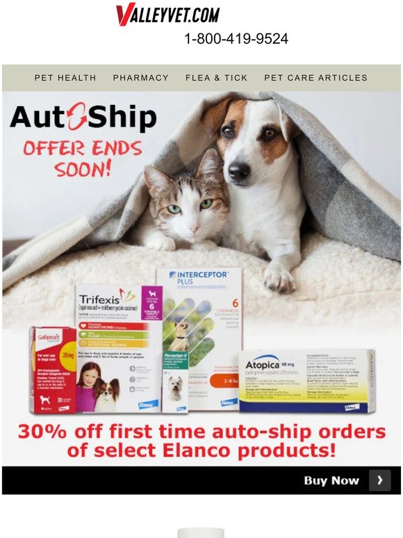 Ends Soon! 30% Off First-time Elanco Autoship