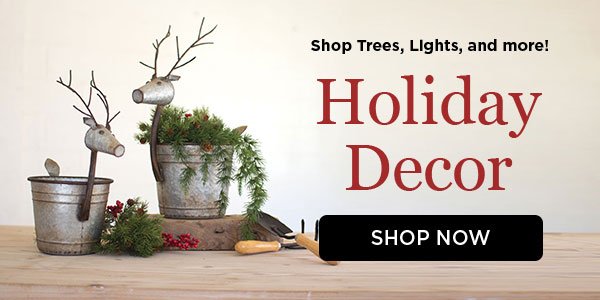 Holiday Decor: Shop Trees, Lights, and more! Shop Now.