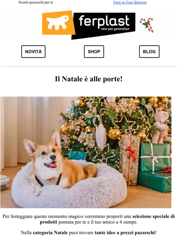 Regali di Natale 🎁🐾
