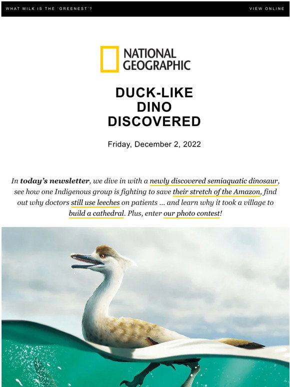 National Geographic: These newly discovered dinos swam in the water ...