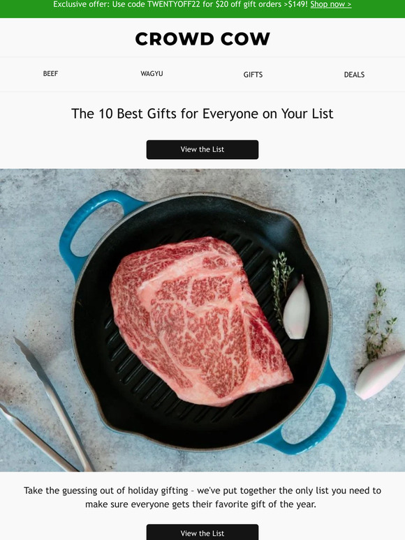 🎁 Your Holiday Gift Guide Awaits 