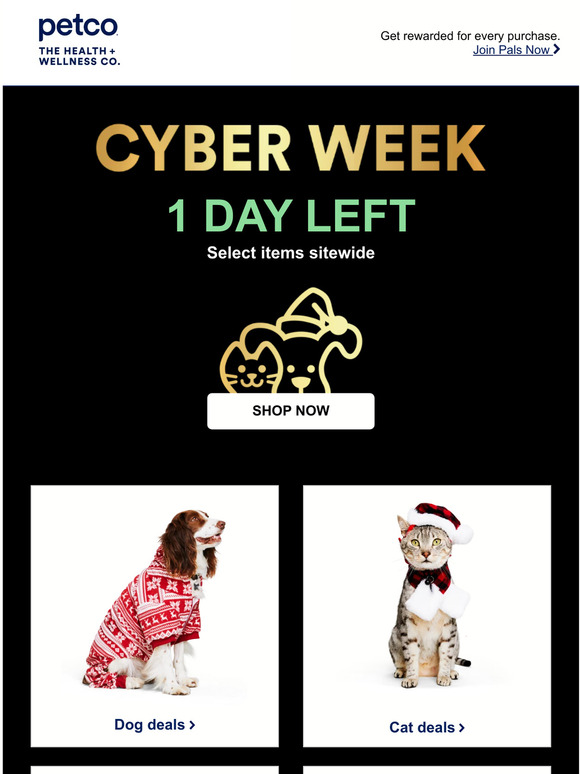 PETCO 1 day left to Cyber SAVE Milled