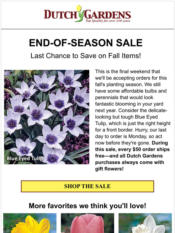 Last weekend! Save up to 73% on fall items