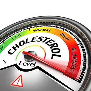 Cholesterol Category
