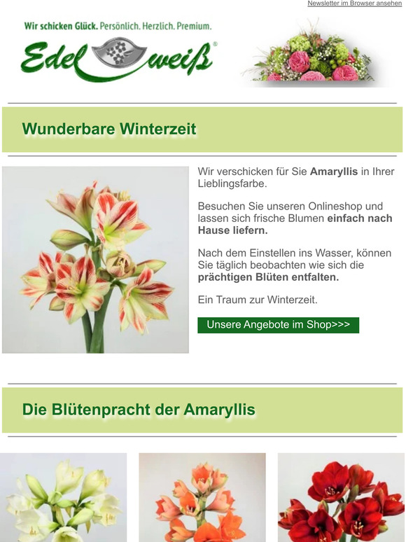 Wunderbare Winterzeit