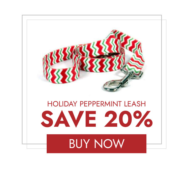 Chevron Dog Leash by Yellow Dog - Peppermint