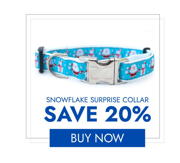 Diva Dog Snowflake Surprise Dog Collar by Diva Dog