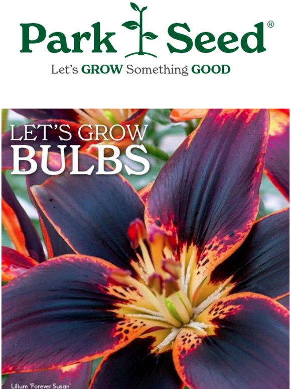 Park Seed: Spring Bulbs Now Available at Park Seed | Milled