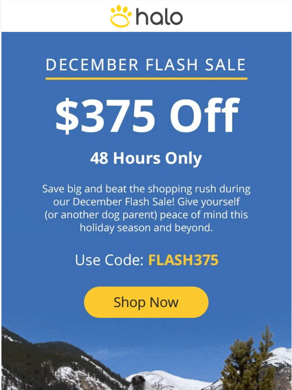 Halo Collar Limited Time Only Take 375 Off Milled