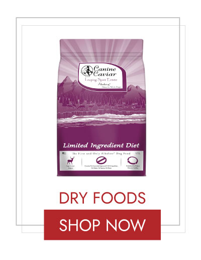 SHOP DRY FOOD